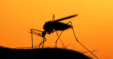 LAKOSSÁGI TÁJÉKOZTATÓ földi szúnyoggyérítésről